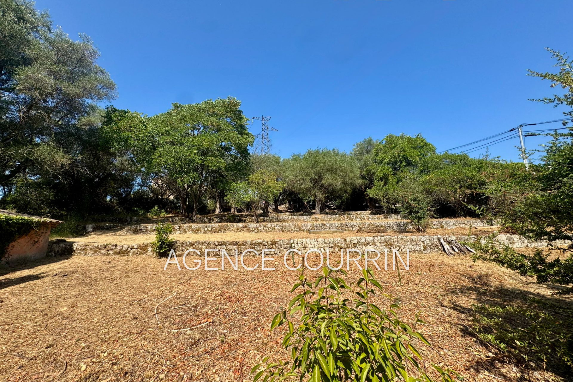 Agence immobilière de Agence Courrin