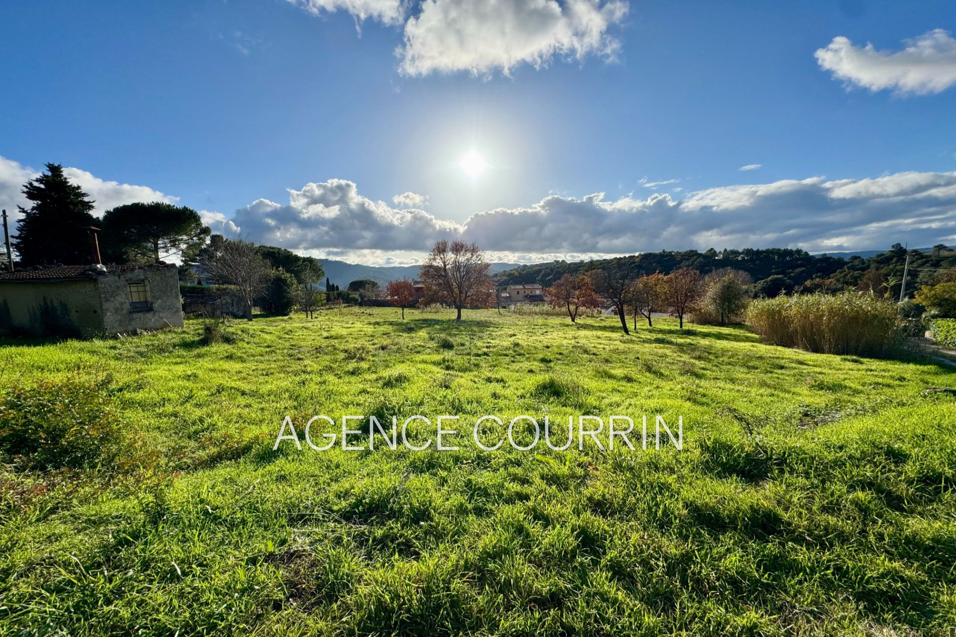 Agence immobilière de Agence Courrin