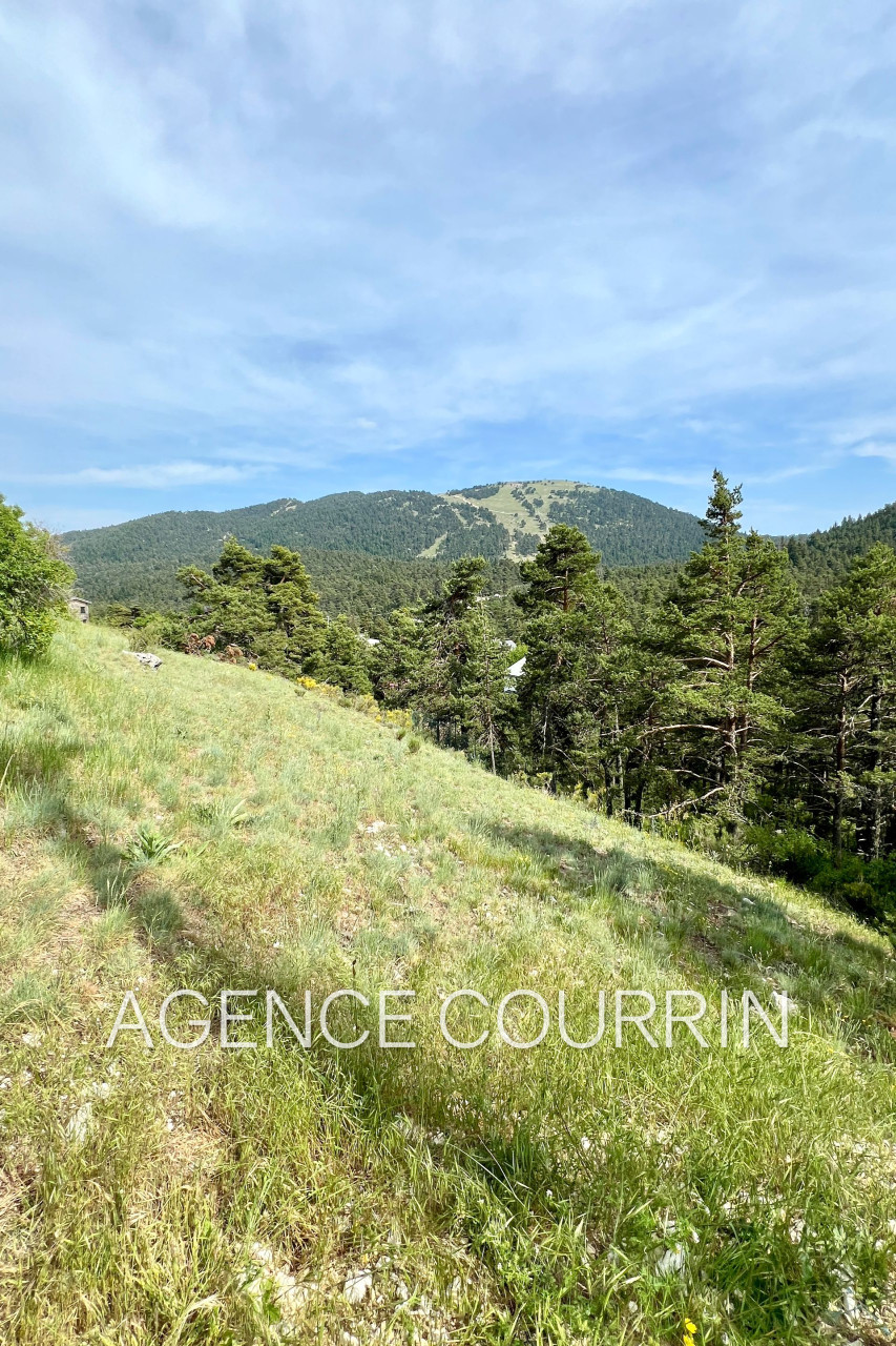 Agence immobilière de Agence Courrin