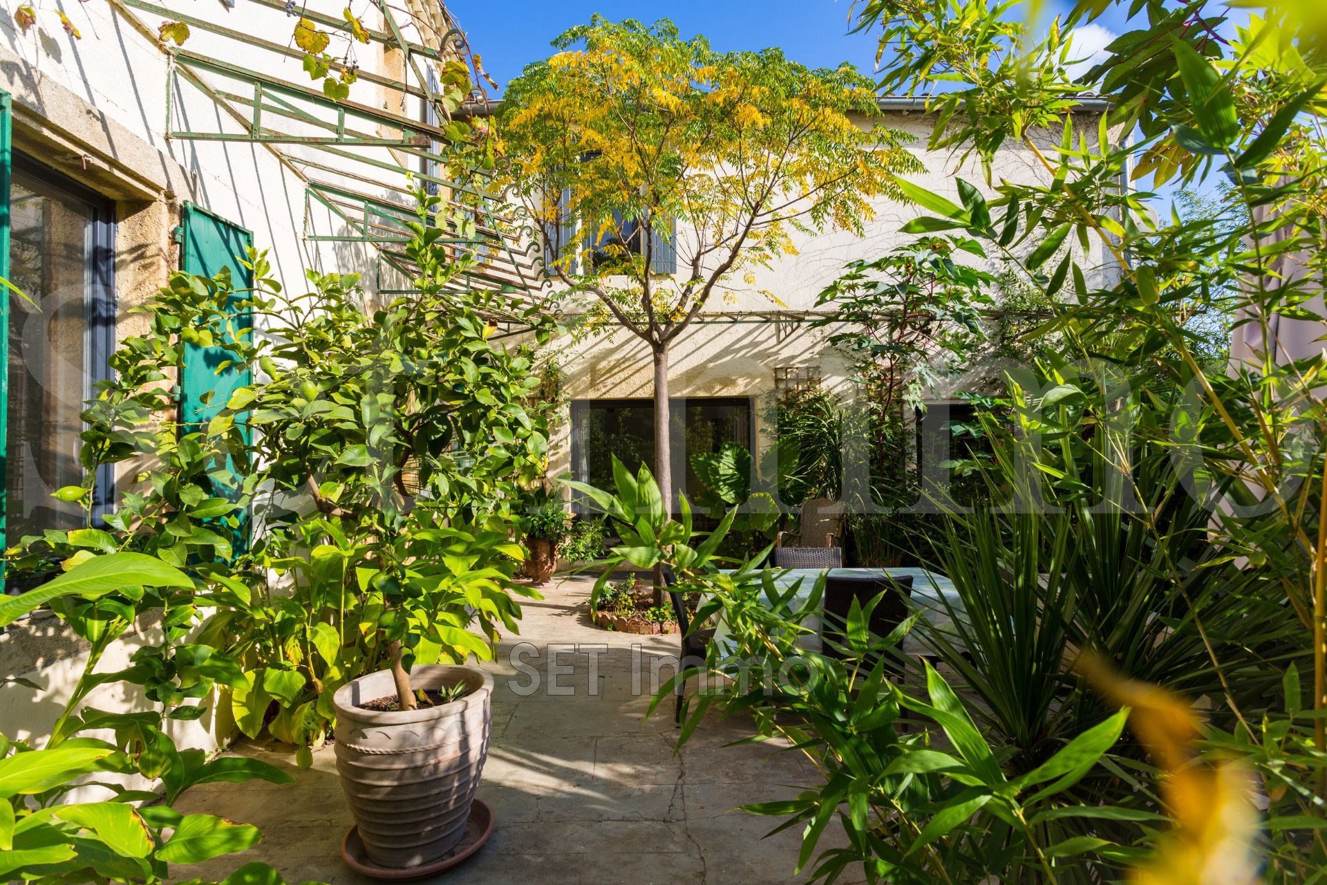 Agence immobilière de SET Immo