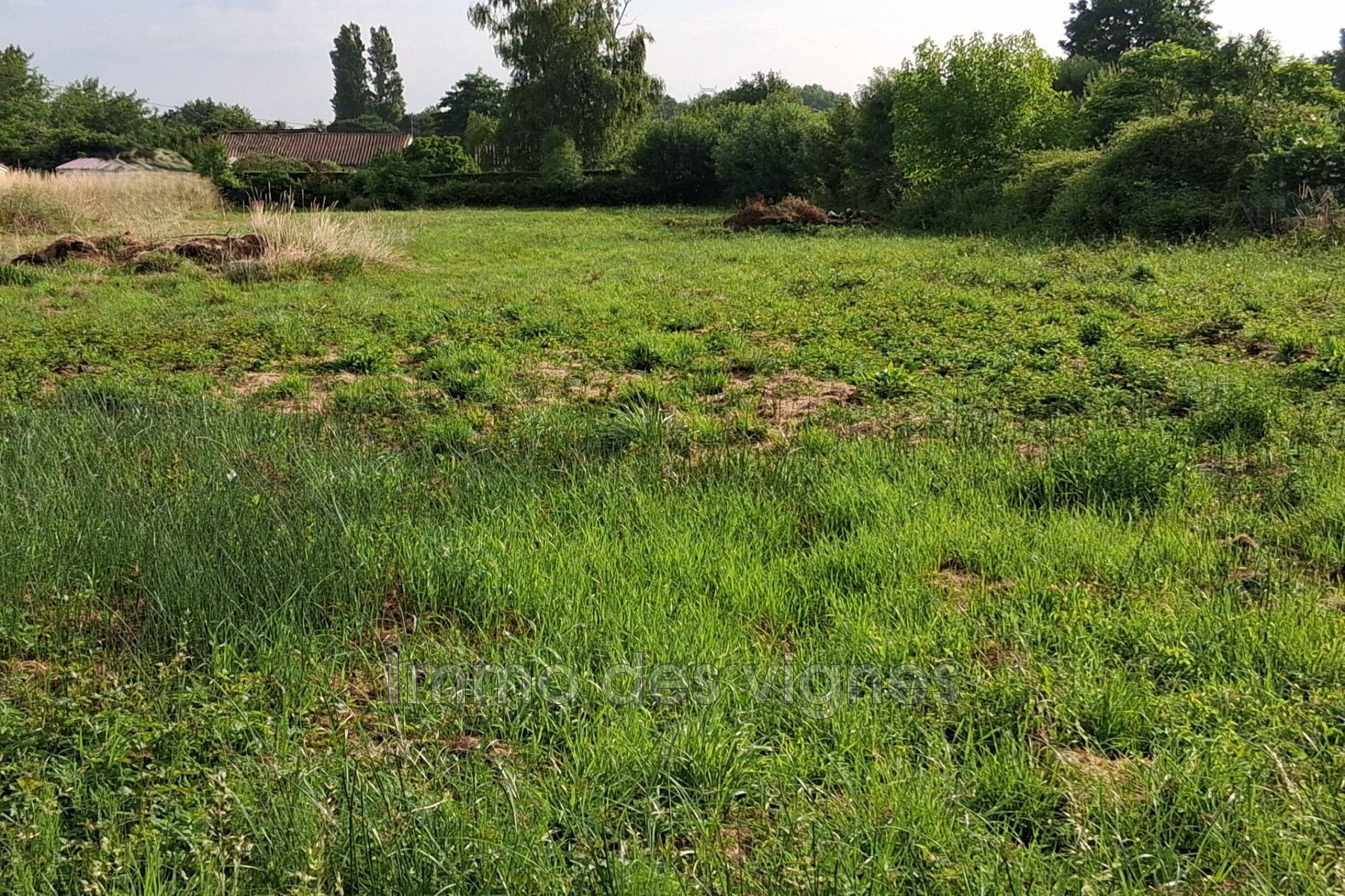 Agence immobilière de Immo des vignes