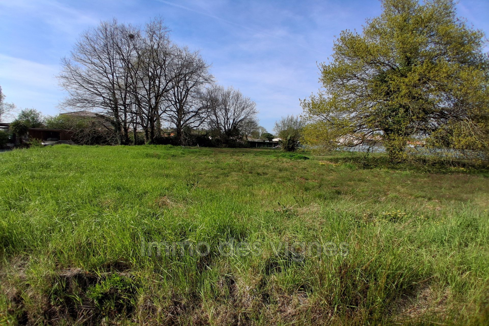 Agence immobilière de Immo des vignes