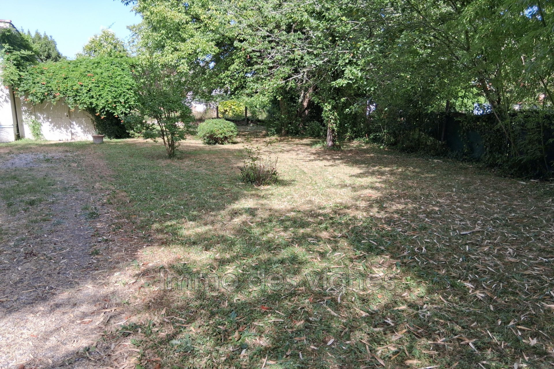 Agence immobilière de Immo des vignes