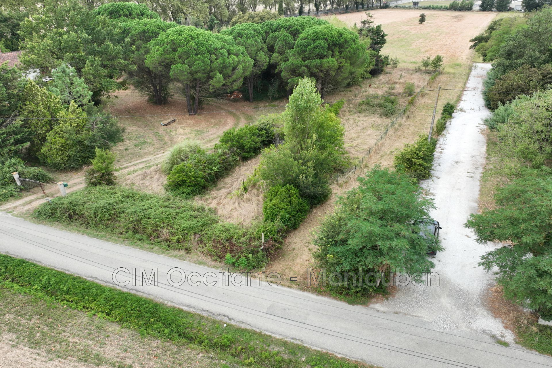 Agence immobilière de CIM 31 Occitanie - Montauban