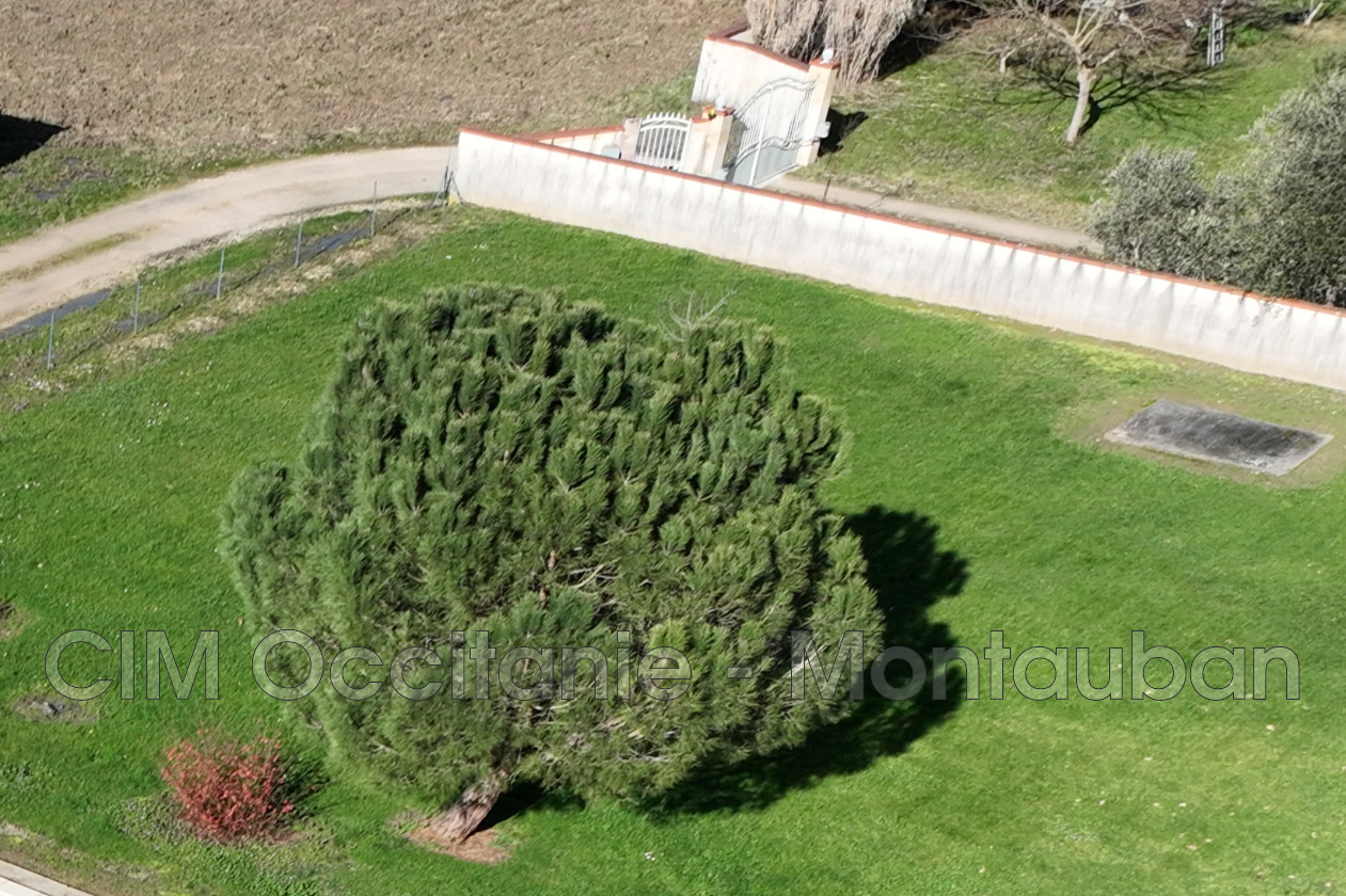Agence immobilière de CIM 31 Occitanie - Montauban