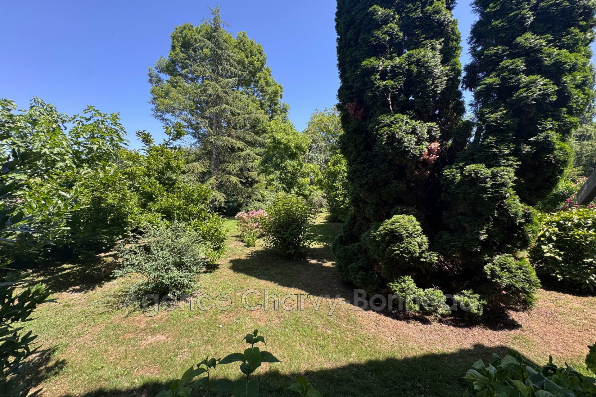 Agence immobilière de Agence Charvy Bonneau