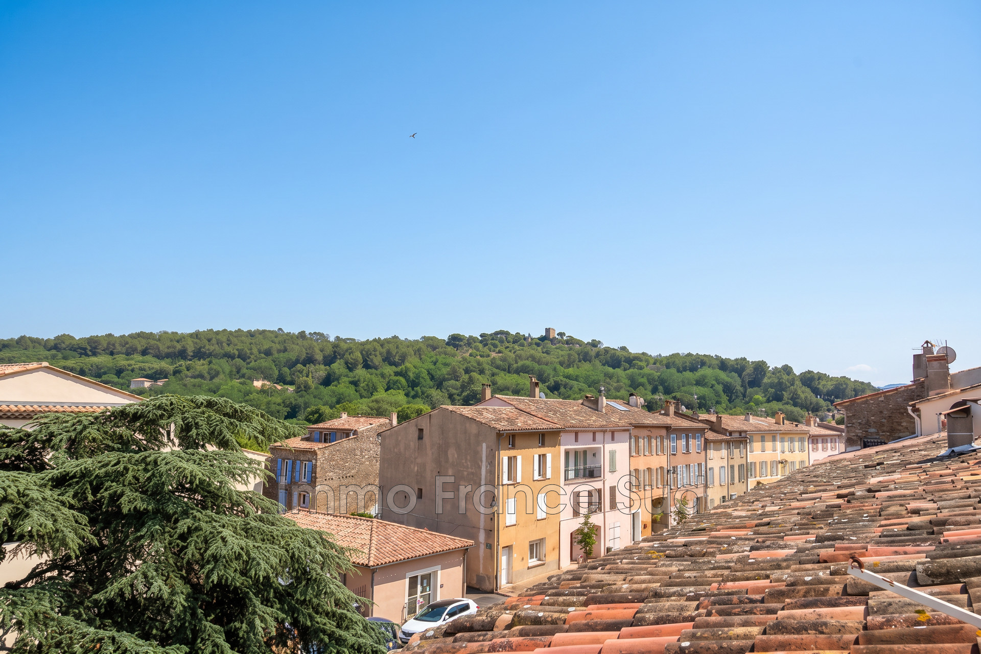 Agence immobilière de Immo France Sud sas