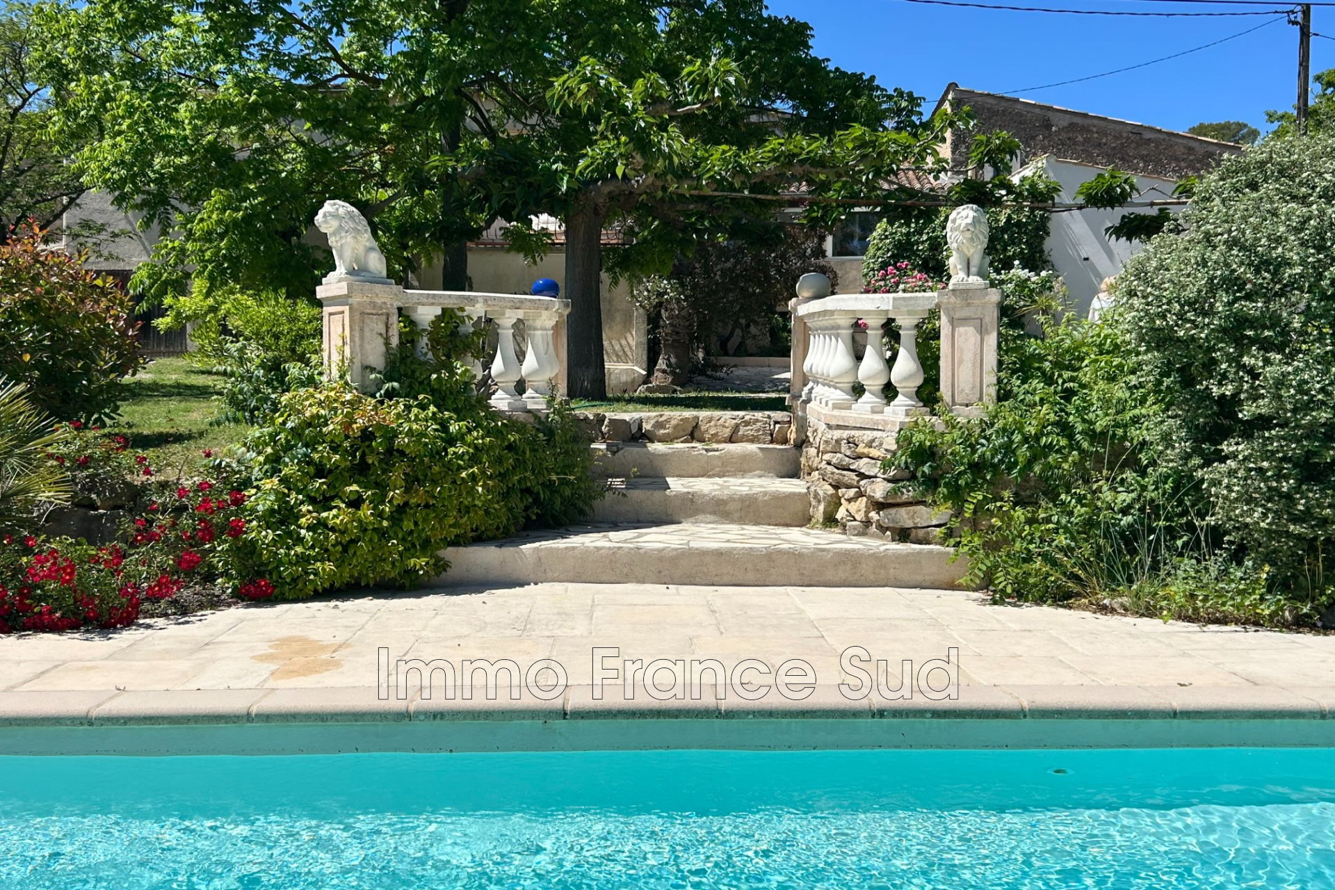 Agence immobilière de Immo France Sud sas