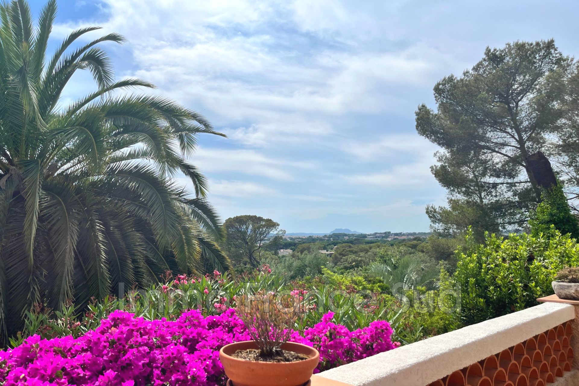 Agence immobilière de Immo France Sud sas