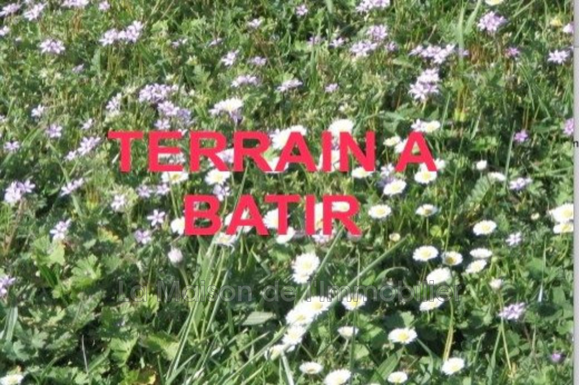 Agence immobilière de La Maison de l'Immobilier