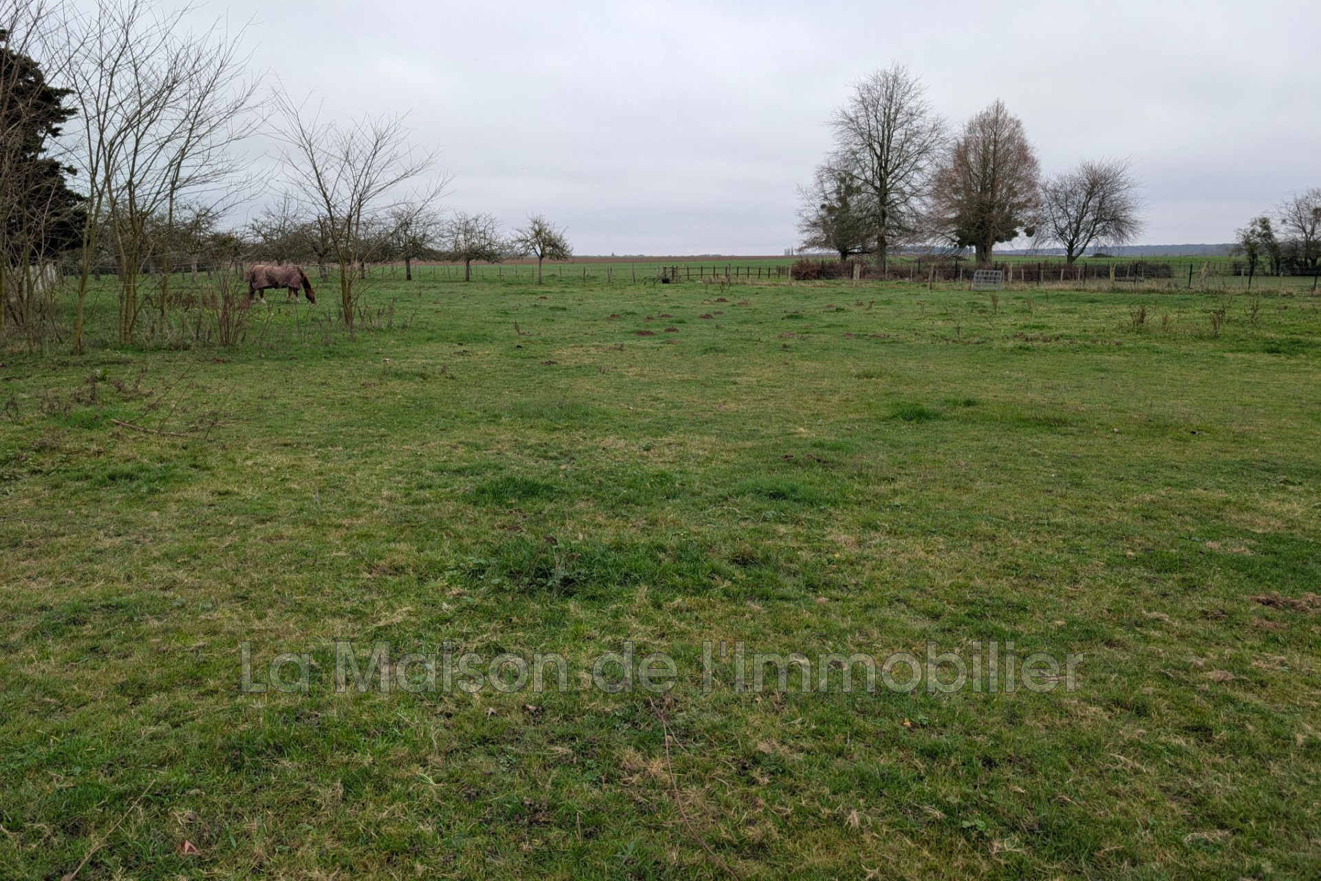 Agence immobilière de La Maison de l'Immobilier