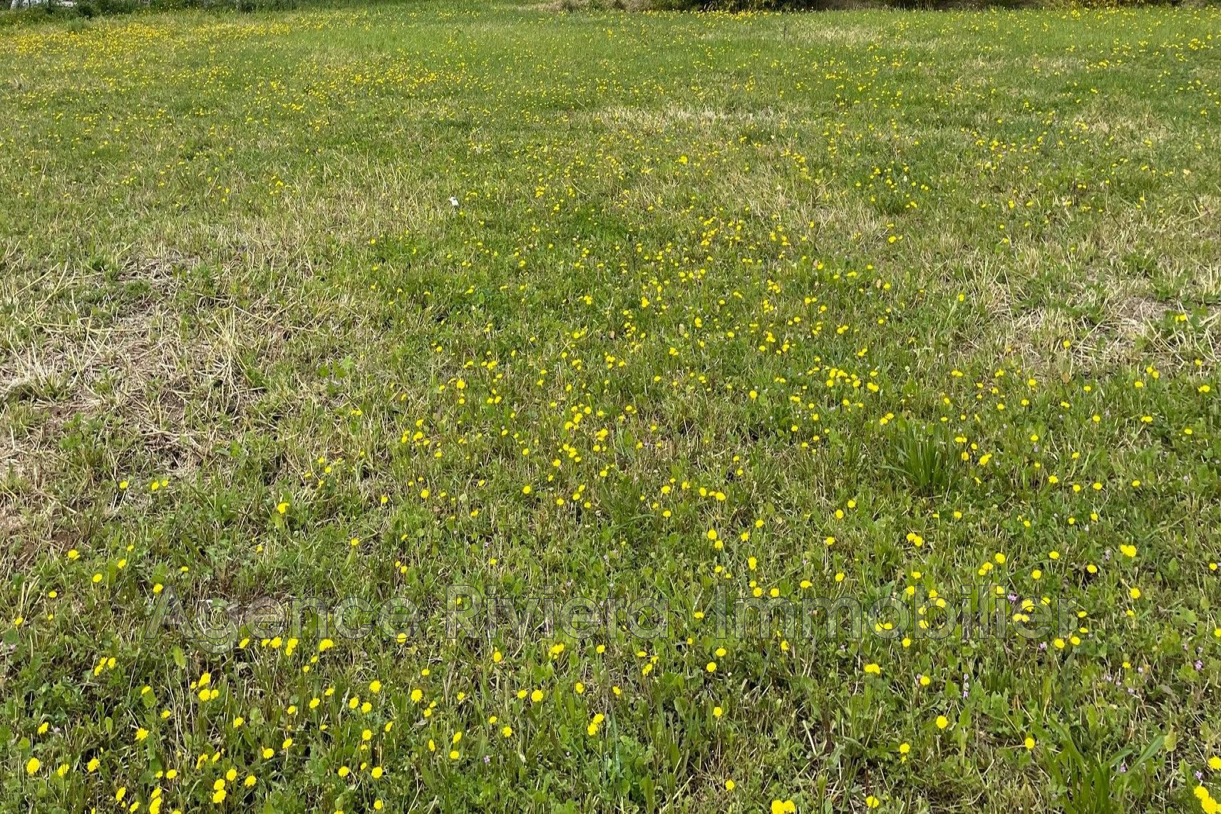 Agence immobilière de Agence Riviera