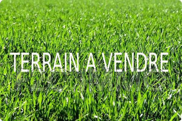 Agence immobilière de F2C IMMO