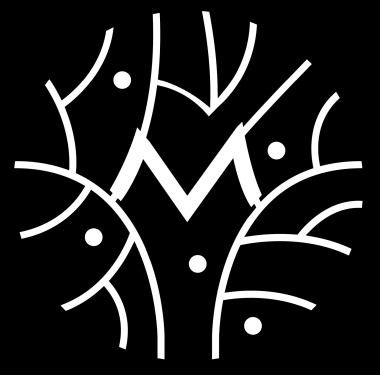 logo Mathieu Immobilier & Conseils