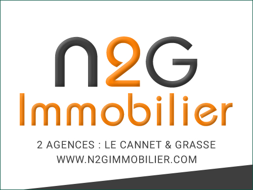 logo N2G IMMOBILIER