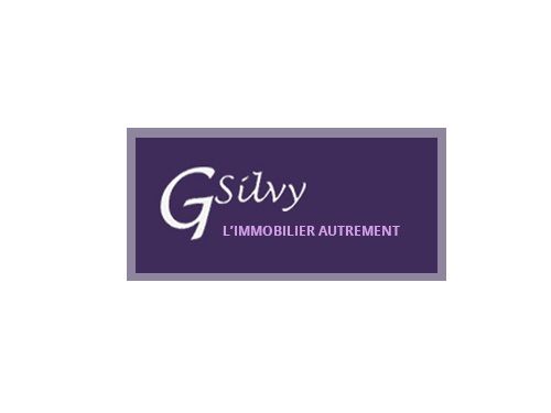 logo G. SILVY