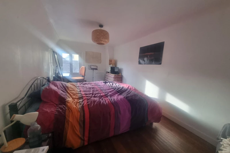 Professionnel  Alençon  