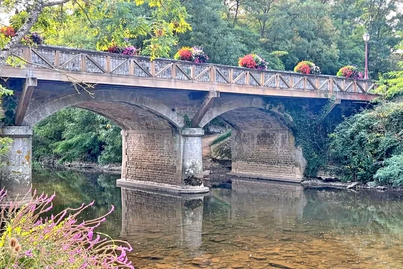 Professionnel  Saint-Léonard-des-Bois  