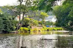 Professionnel  Saint-Léonard-des-Bois  