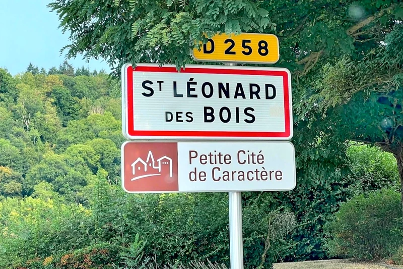 Professionnel  Saint-Léonard-des-Bois  