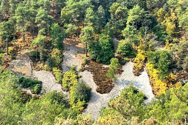 Professionnel  Saint-Léonard-des-Bois  