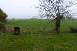 Vente maison Saint-Aubin-du-Désert  