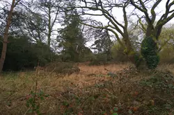 Vente maison Lignières-Orgères  