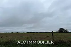 Vente terrain Damigny  