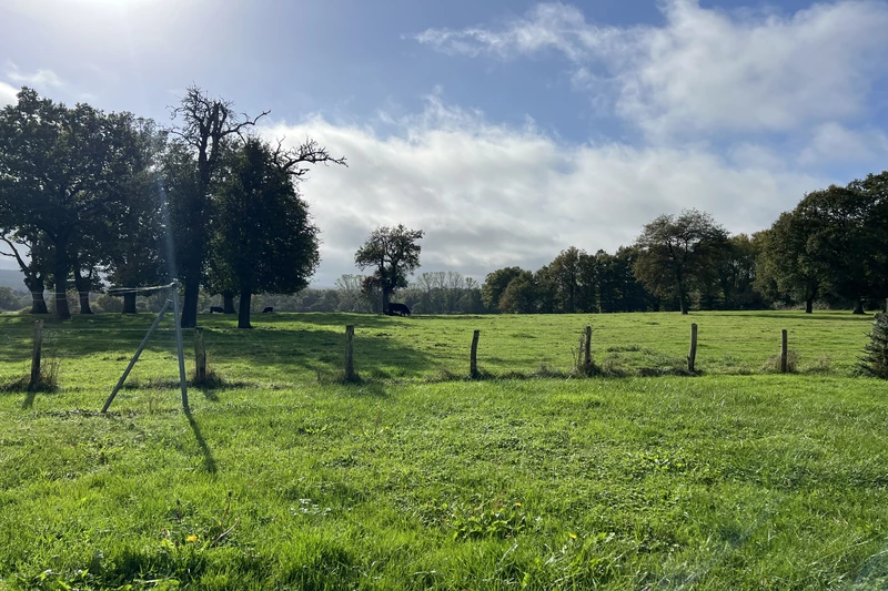 Vente ferme Le Mêle-sur-Sarthe  