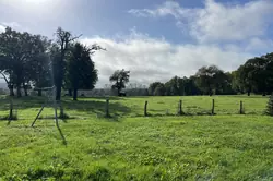 Vente ferme Le Mêle-sur-Sarthe  