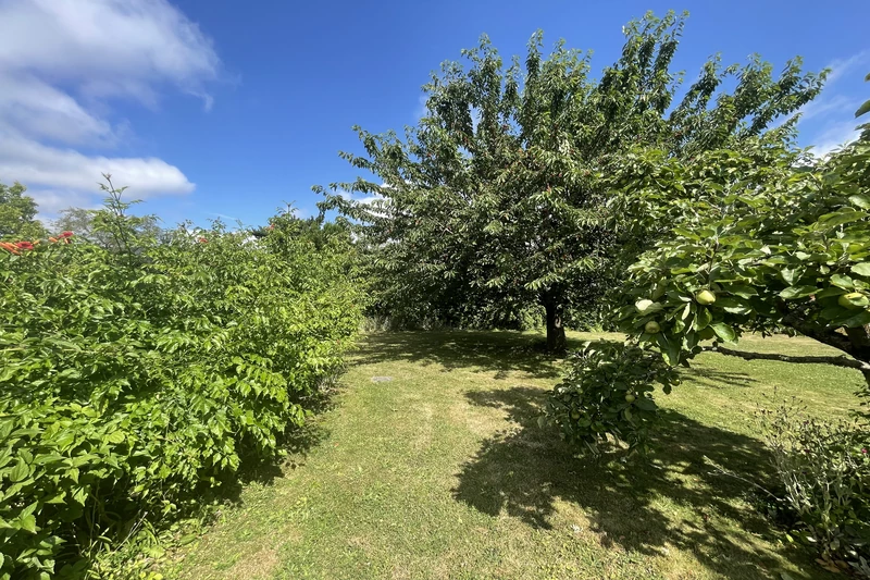 Vente maison Alençon Vente maison Alençon