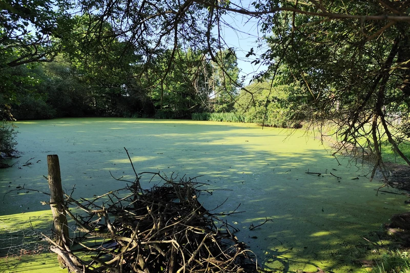 Vente maison Maresché  
