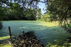 Vente maison Maresché  