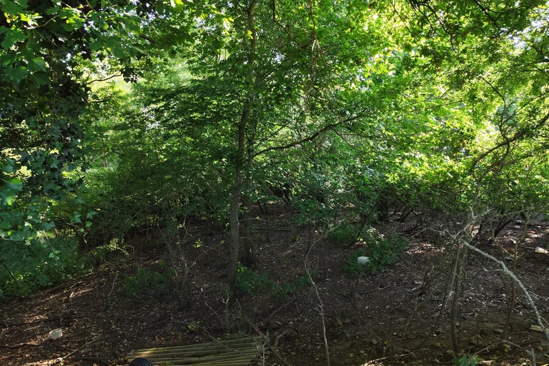 Vente maison Maresché  