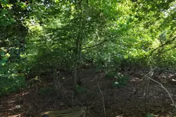 Vente maison Maresché  