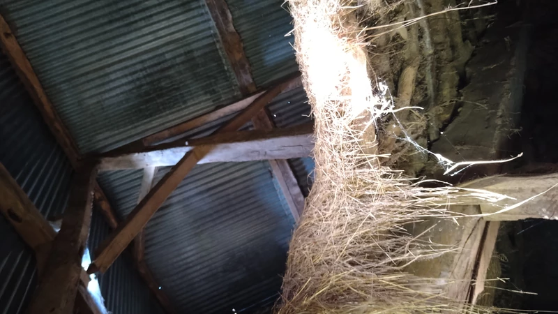 Vente maison Saint-Pierre-des-Nids  