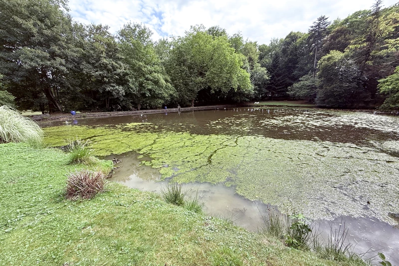Vente propriété Saint-Denis-sur-Sarthon  