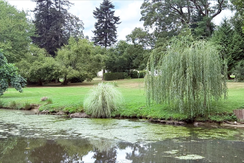 Vente propriété Saint-Denis-sur-Sarthon  