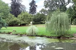 Vente propriété Saint-Denis-sur-Sarthon  