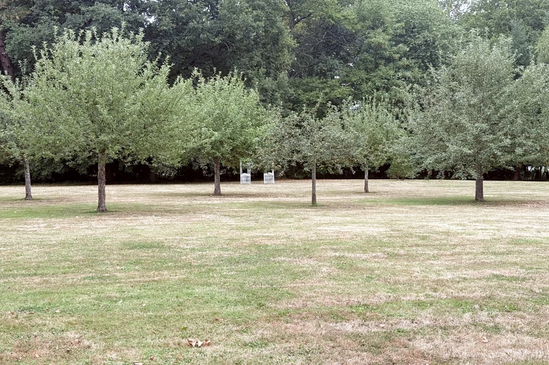 Vente propriété Saint-Denis-sur-Sarthon  