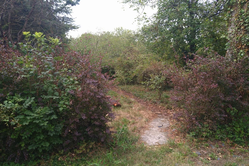 Vente maison Pré-en-Pail-Saint-Samson Vente maison Pré-en-Pail-Saint-Samson