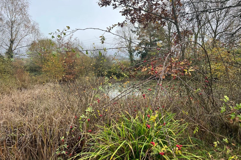 Vente terrain Champfleur  