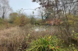 Vente terrain Champfleur  