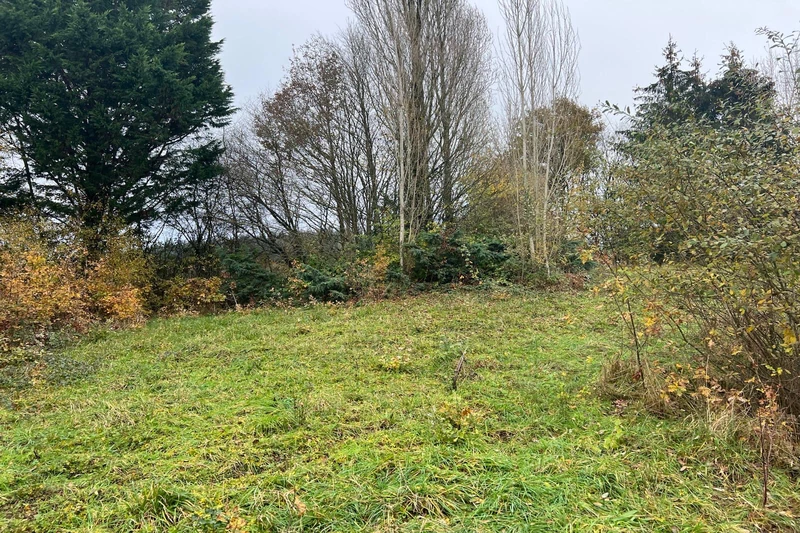 Vente terrain Champfleur  