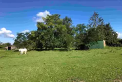 Vente maison Neauphe-sous-Essai  