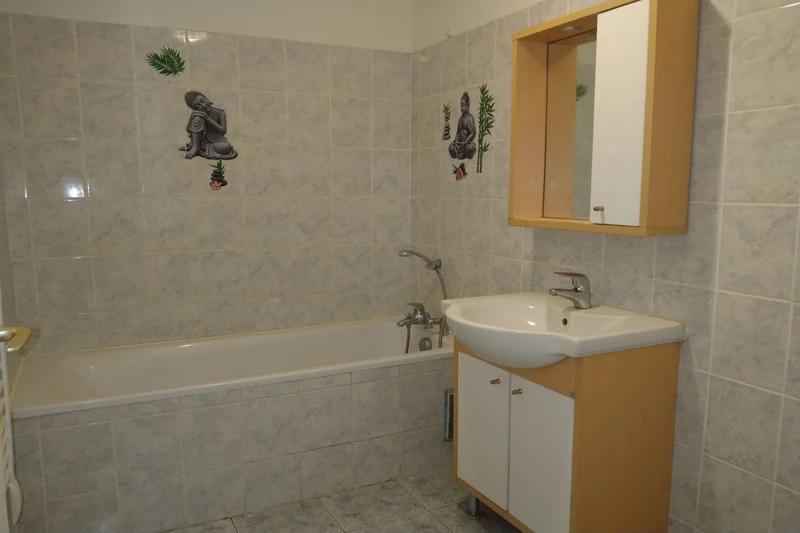 Vente maison Sougé-le-Ganelon  