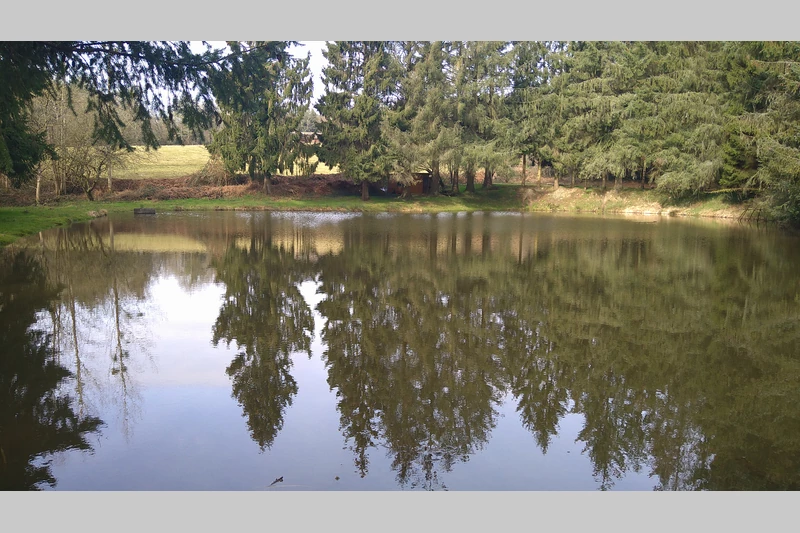 Vente terrain Loupfougères  
