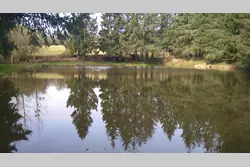 Vente terrain Loupfougères  