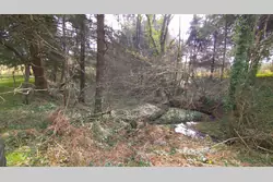 Vente terrain Loupfougères  