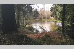 Vente terrain Loupfougères  